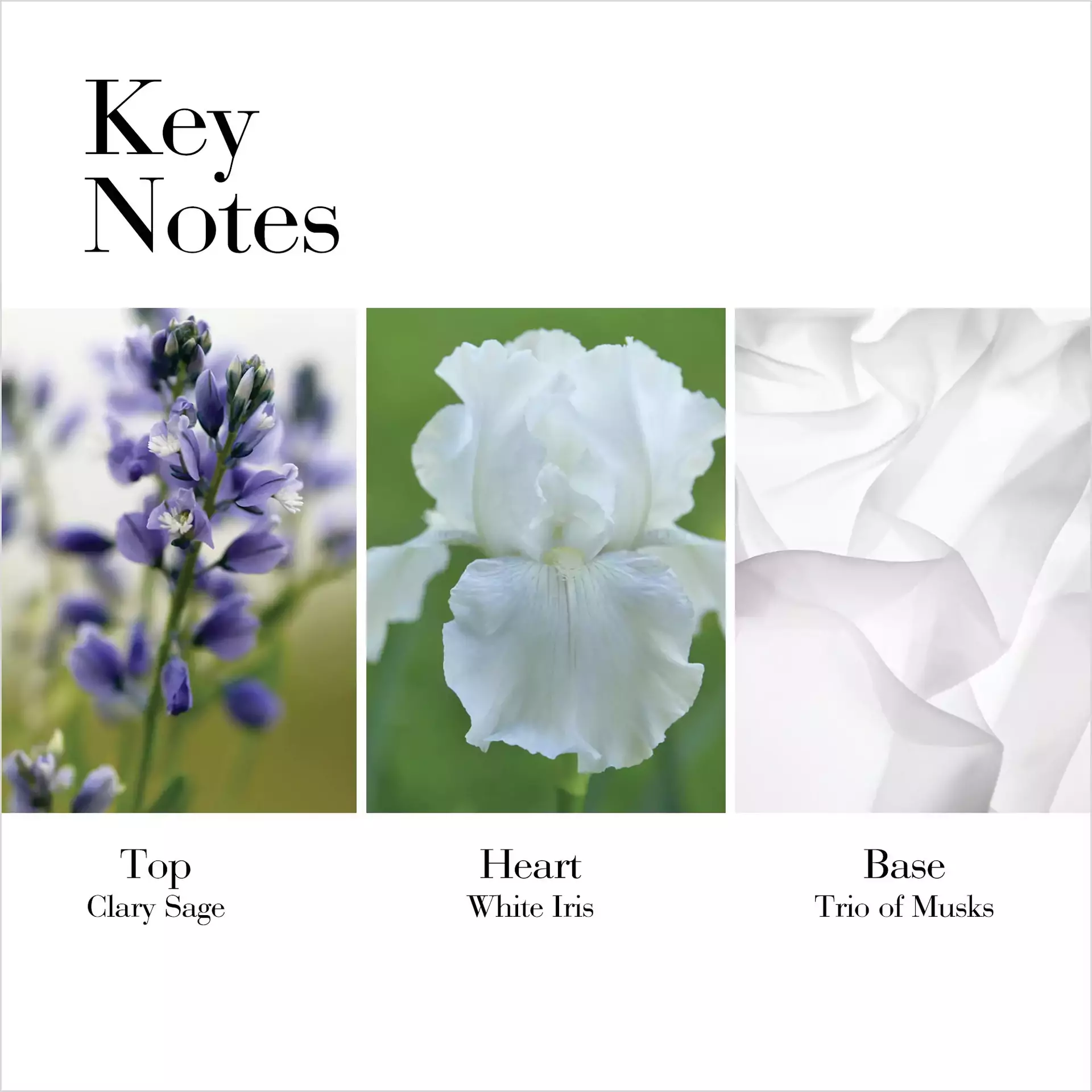White Tea Eau de Toilette Spray - Image 3