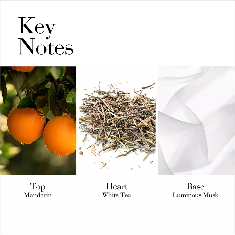White Tea Mandarin Blossom Eau De Toilette Spray - Image 4