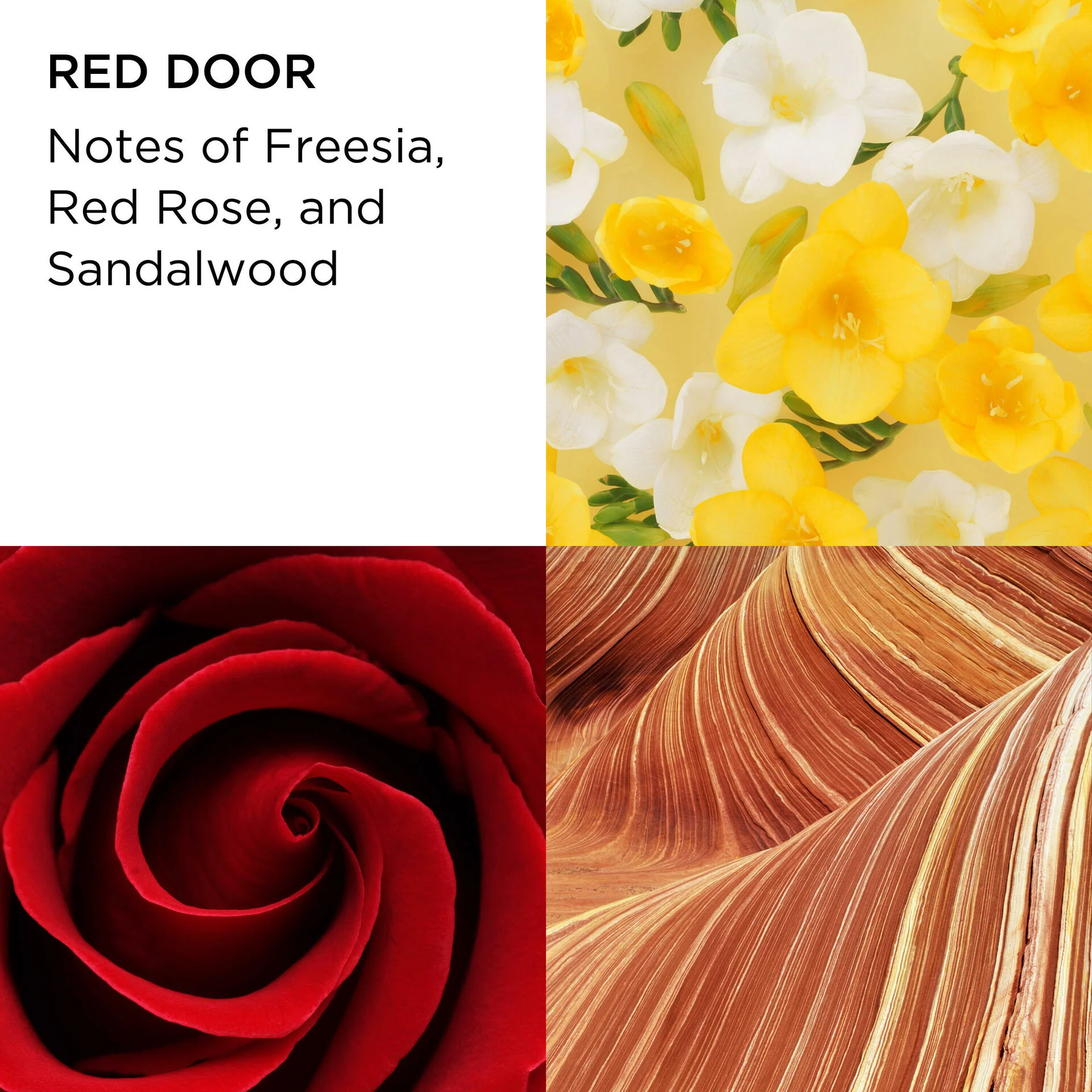 Red Door Eau de Toilette 3-Piece Set - Image 6